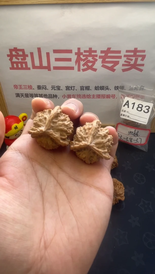 A156盘山三棱正奔3.8尺寸3.7高全品白茬文玩核桃手把件