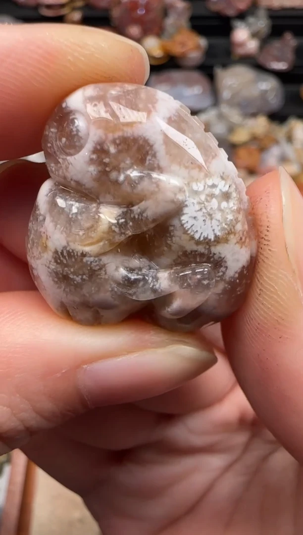 硅化珊瑚（珊瑚玉）未镶嵌颈饰176