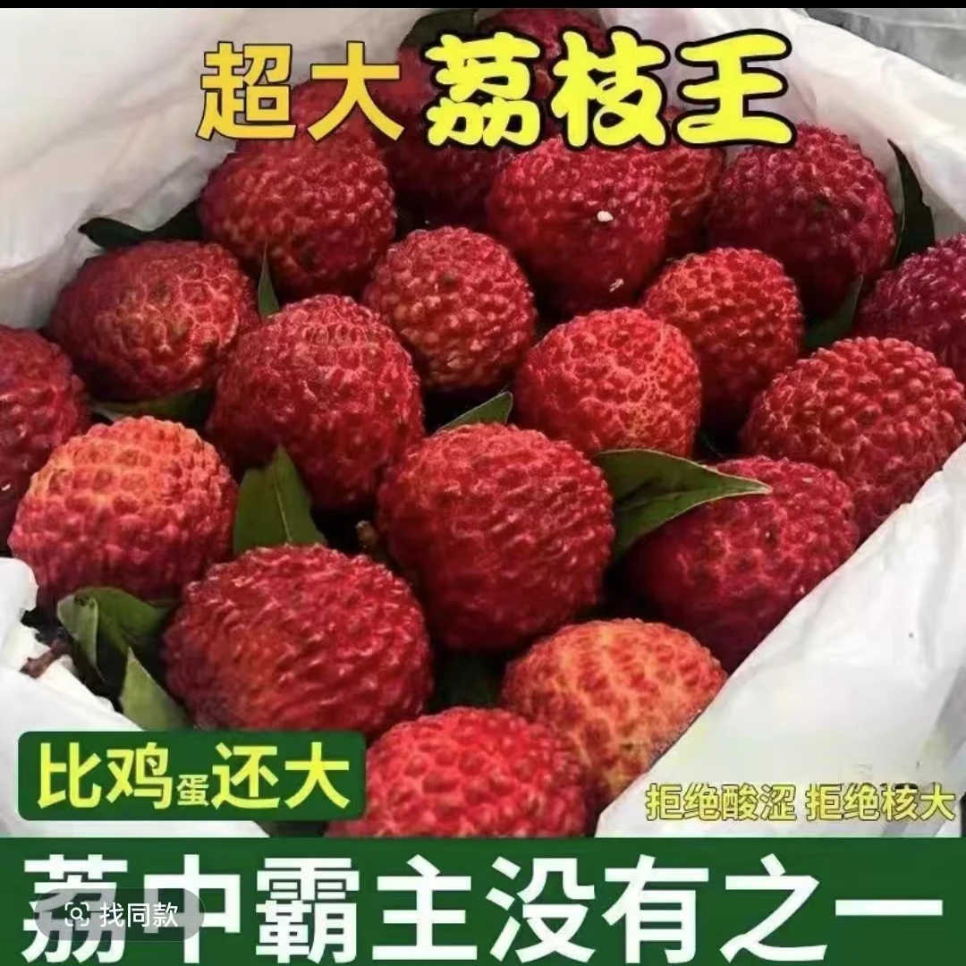冰镇荔枝王500g上海市