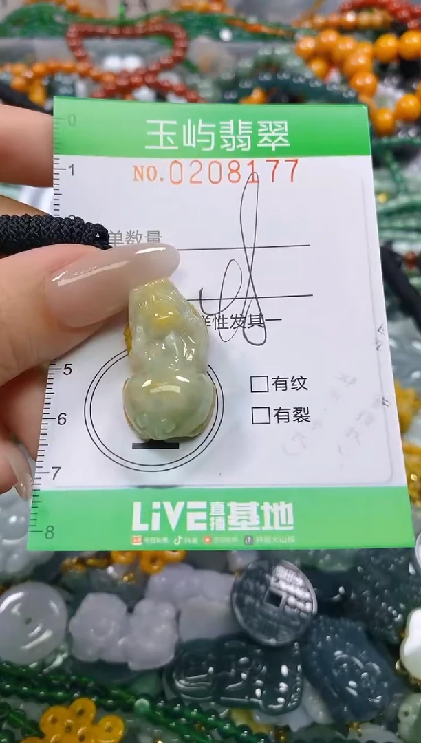 颈饰未镶嵌翡翠闪购0208177
