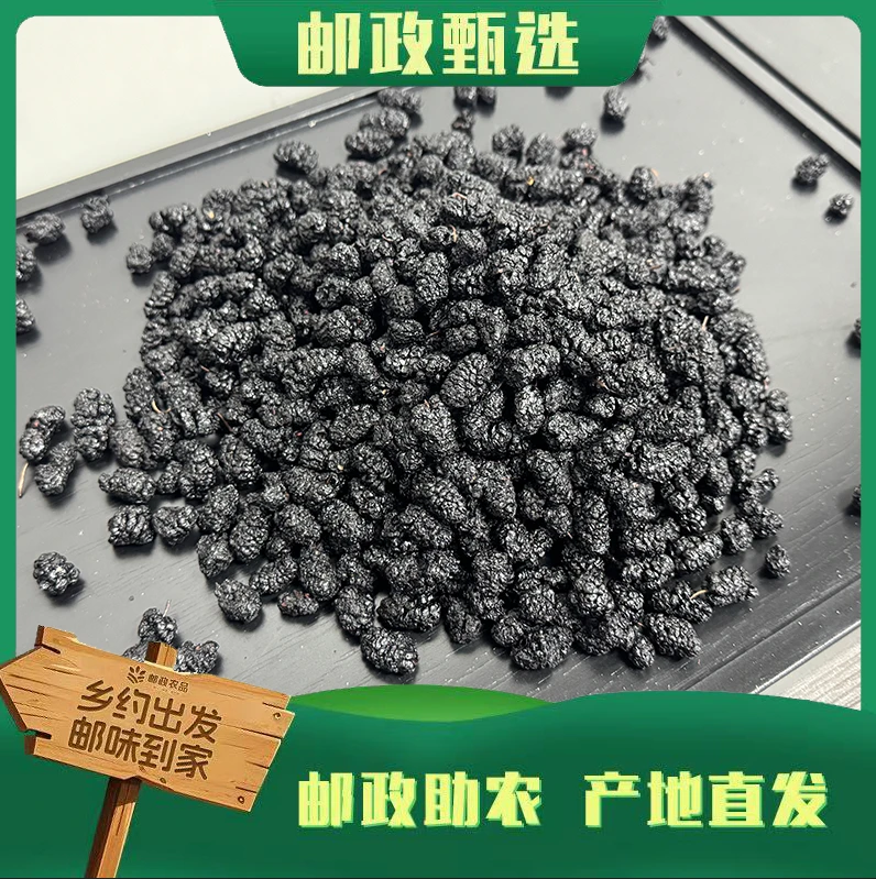 ［邮政专属］农家山货 桑葚干