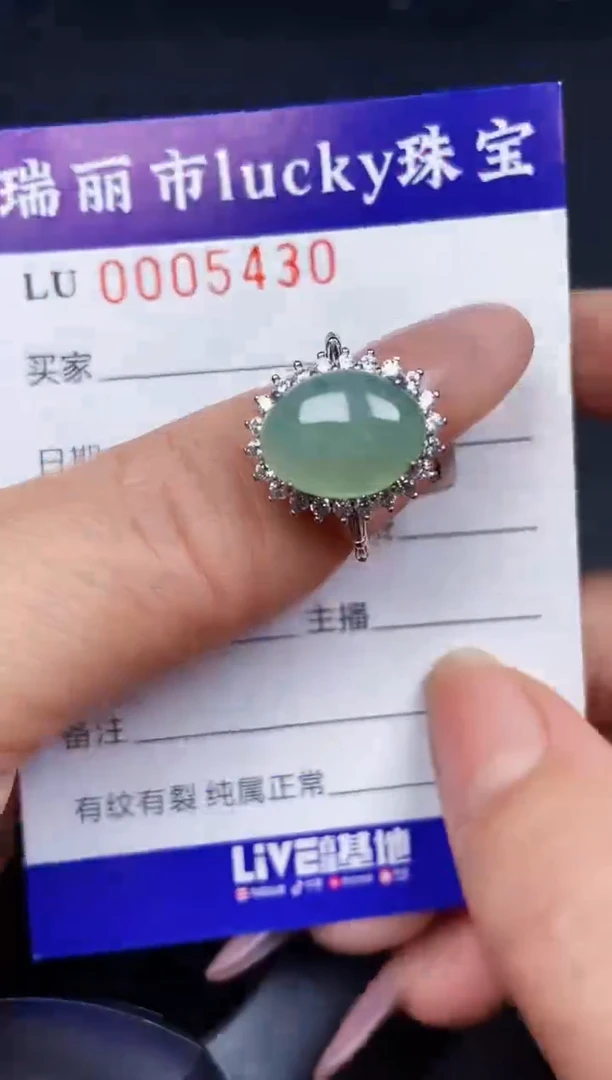 翡翠银S925镶嵌颈饰5430