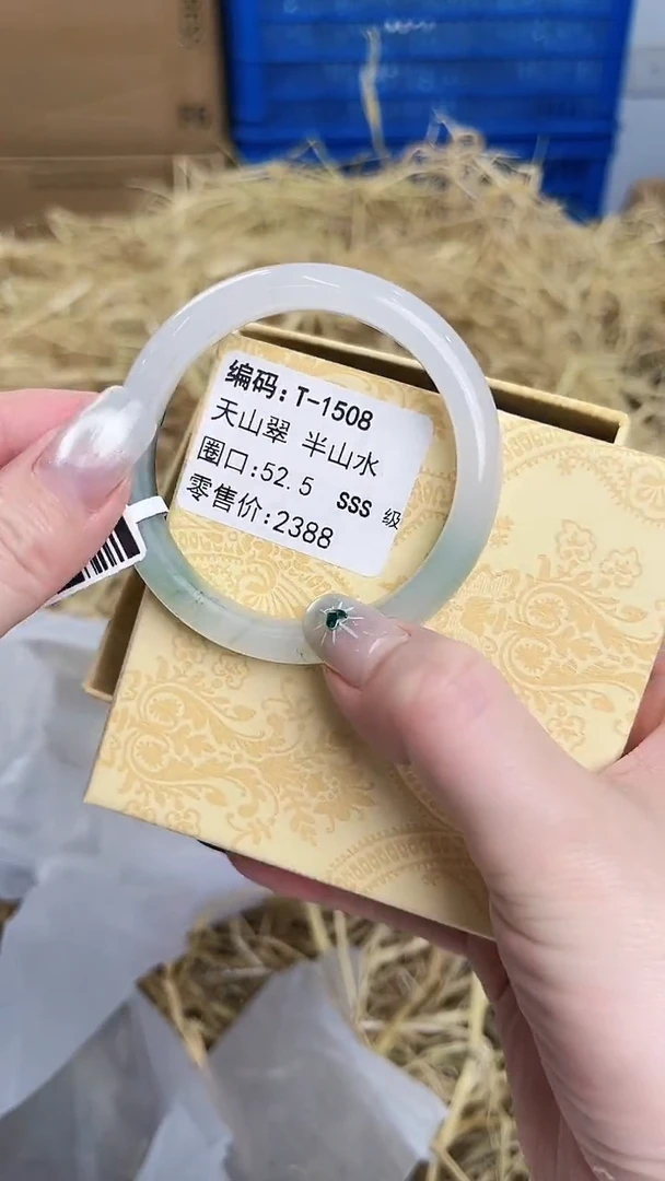 未镶嵌手镯石英质玉T-1508