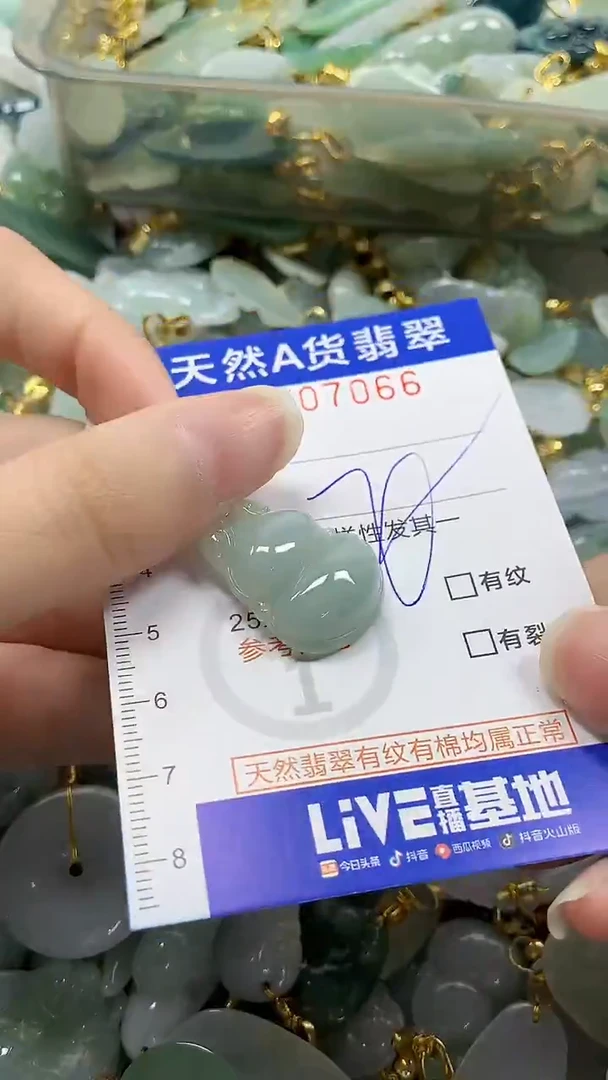 颈饰未镶嵌翡翠纯天然a货翡翠