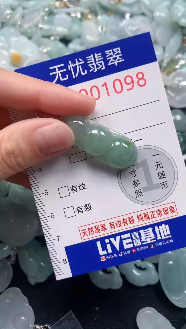 颈饰未镶嵌翡翠1098