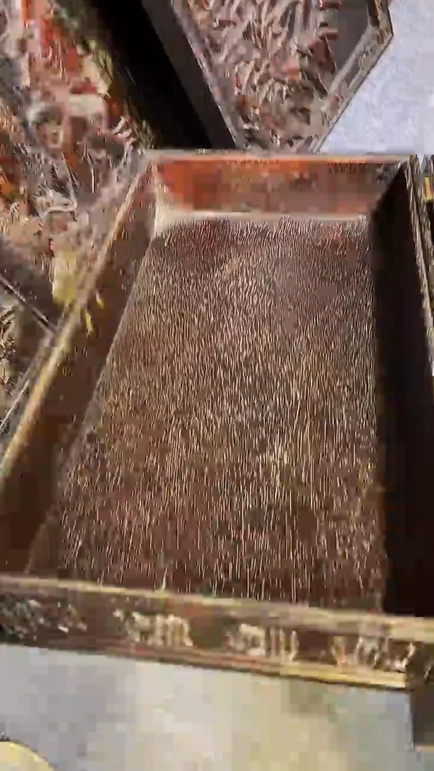 木供**求紫檀木雕一物一拍