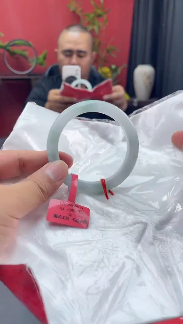 未镶嵌手镯翡翠8
