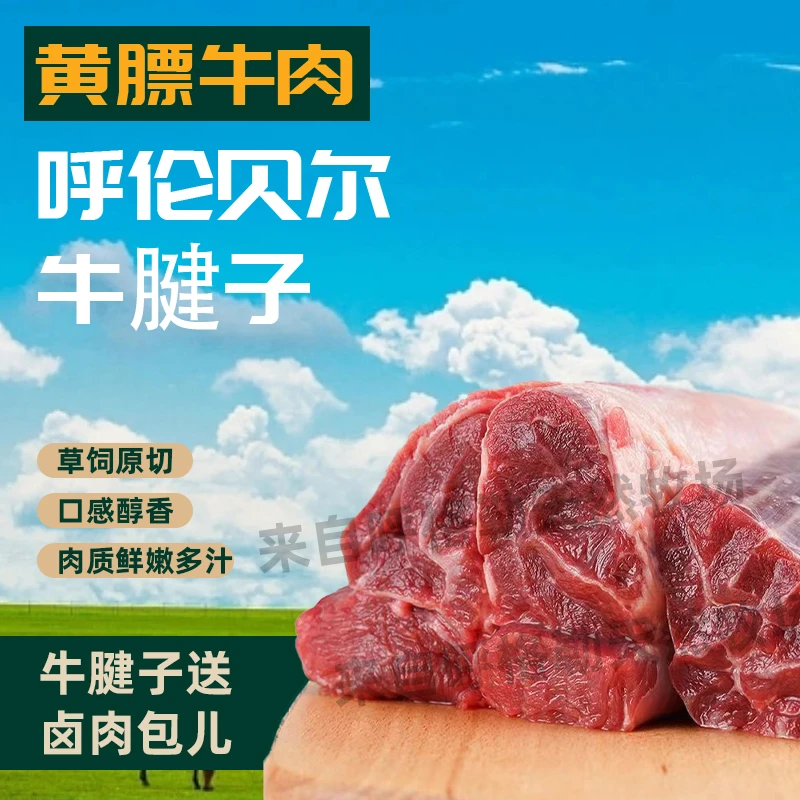 【呼伦贝尔南屯前腿牛腱子五花趾】天然散养牛腱子五花趾现场称