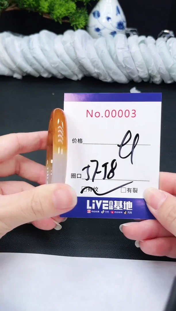 未镶嵌手镯翡翠3