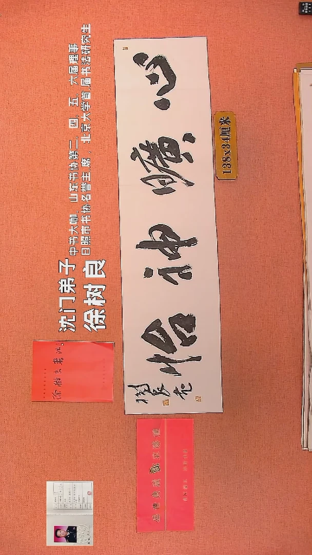 【闪购商品】书法103        徐树良书法作品