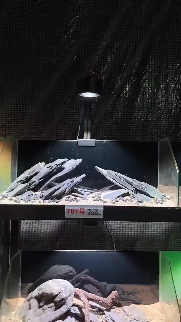 701号鱼缸造景（不含底砂）
