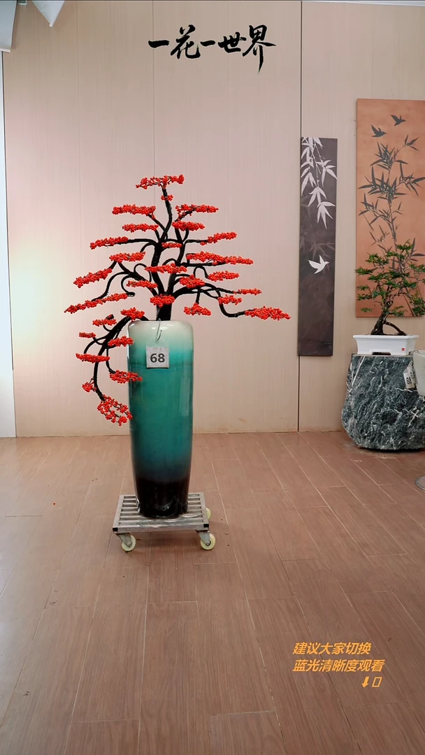 完全开放C**念冬青