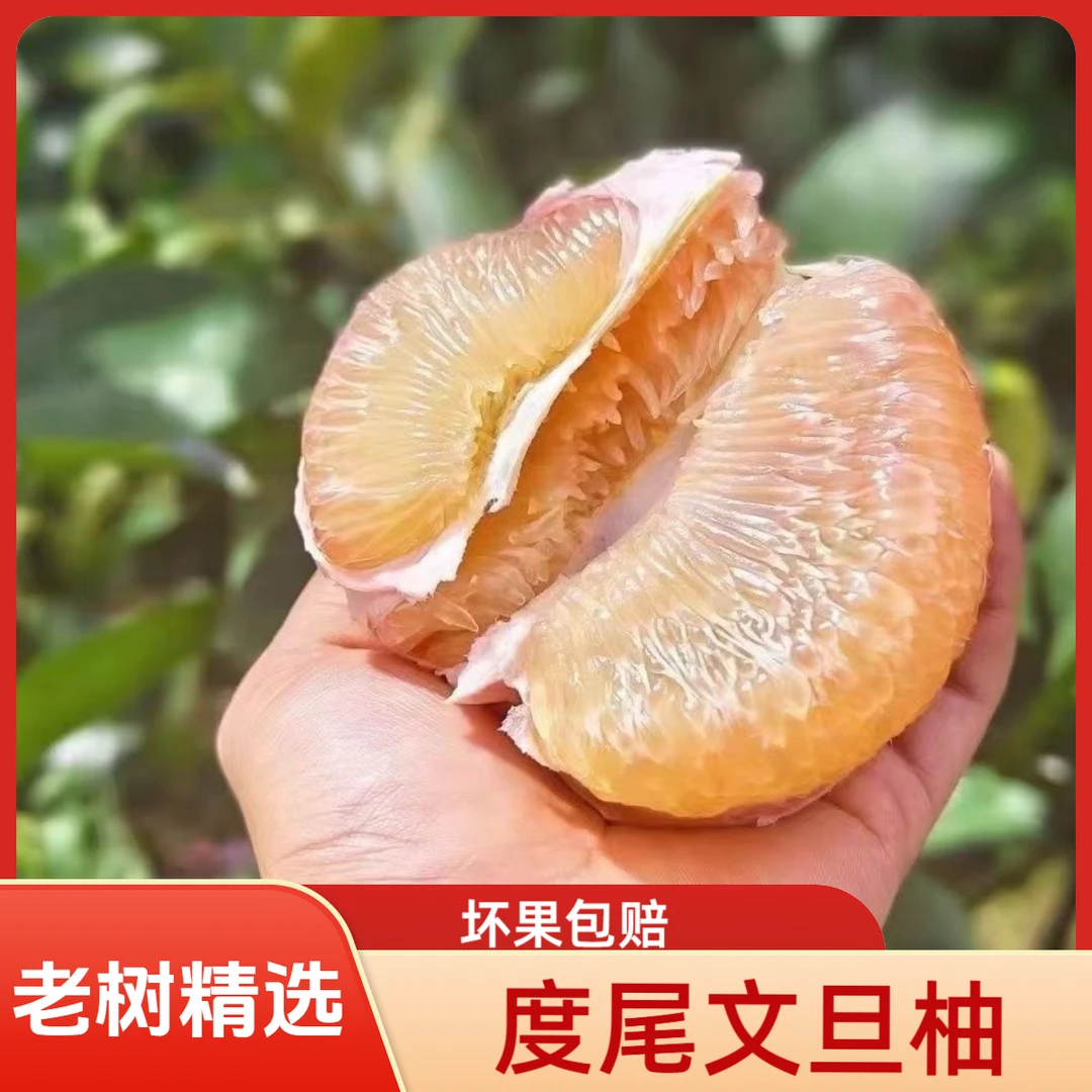 【一个装】正宗度尾文旦柚子福建仙游老树红心文旦柚孕妇新鲜水果