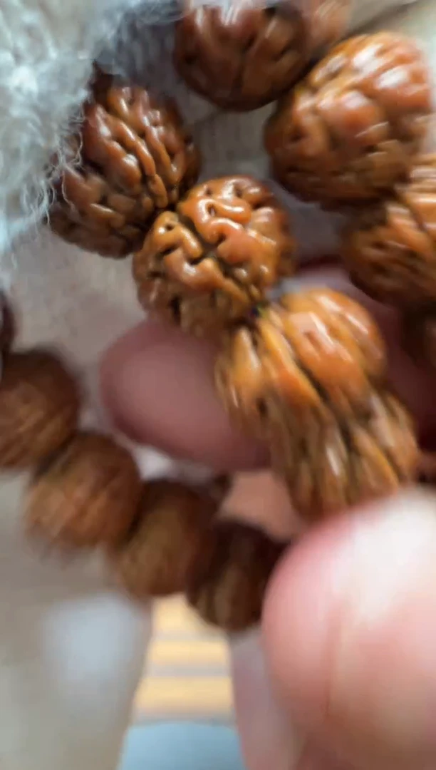 手串金刚菩提金刚菩提手串