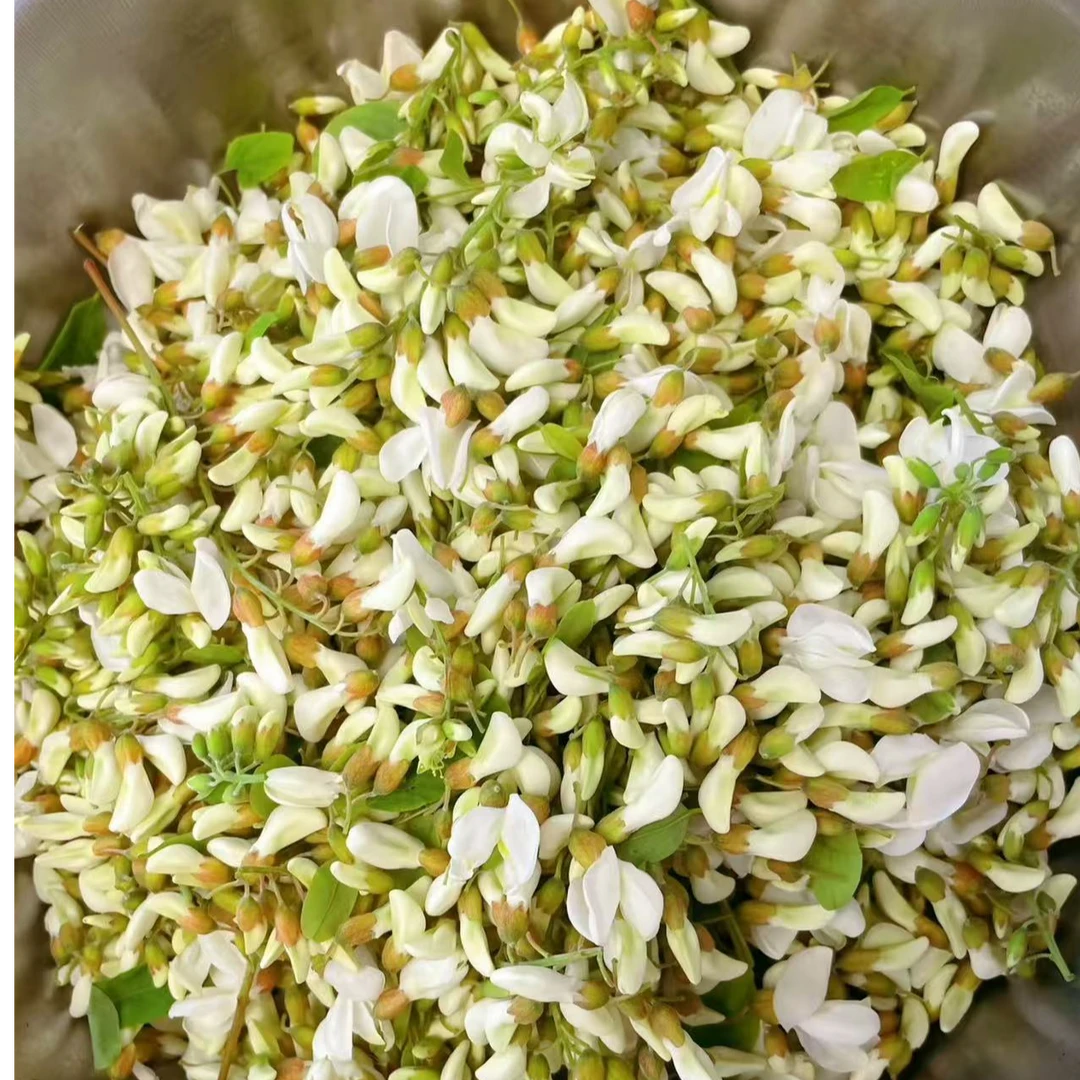 【顺丰包邮】五莲槐花野生食用花2-5斤