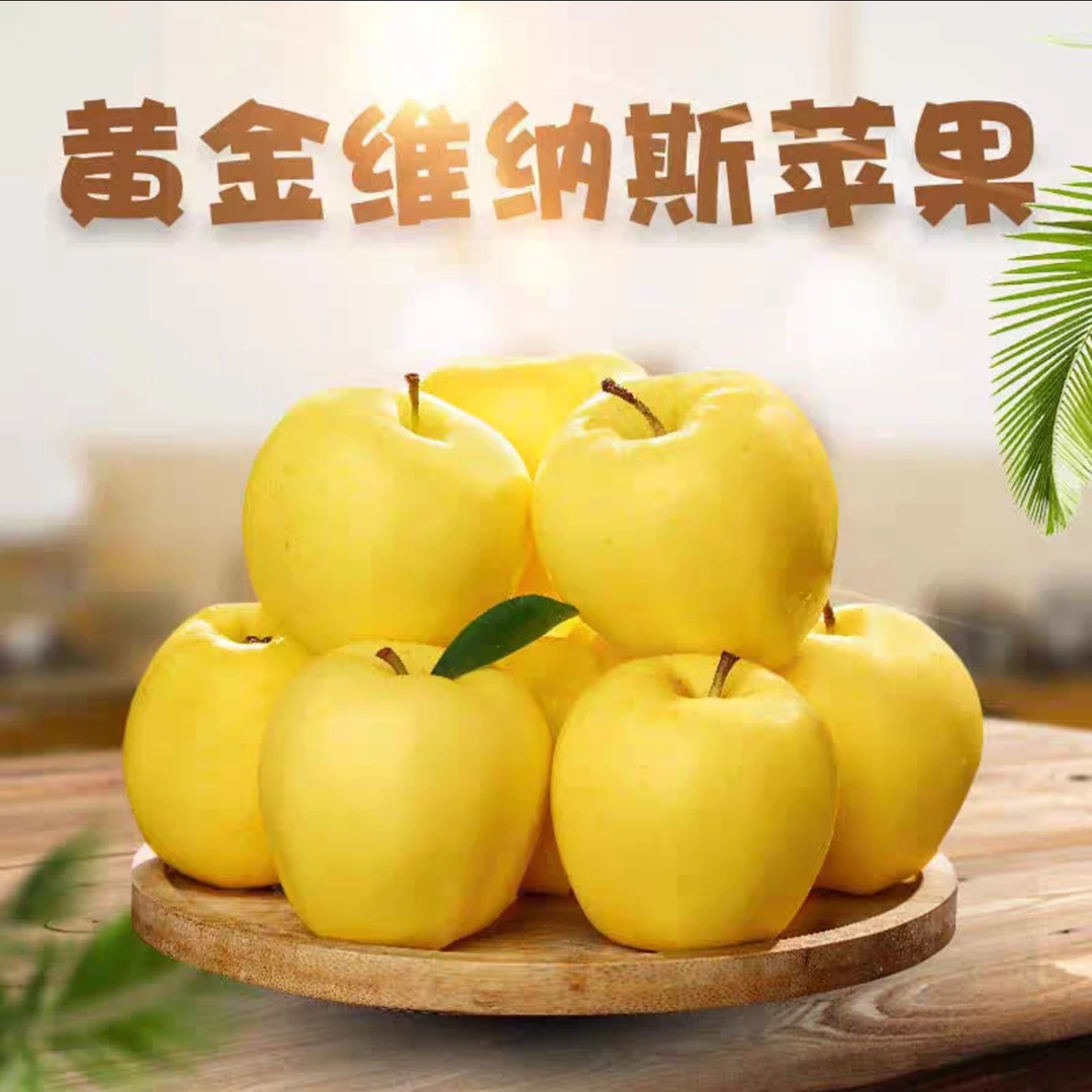 精选日照维纳斯苹果脆甜多汁现摘现发