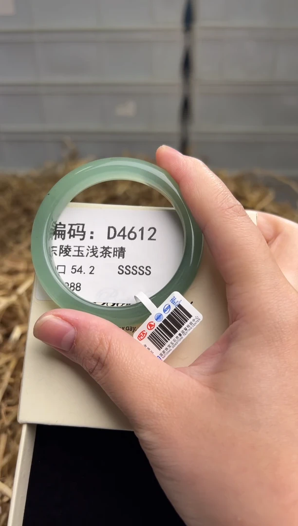 未镶嵌手镯石英质玉D4612