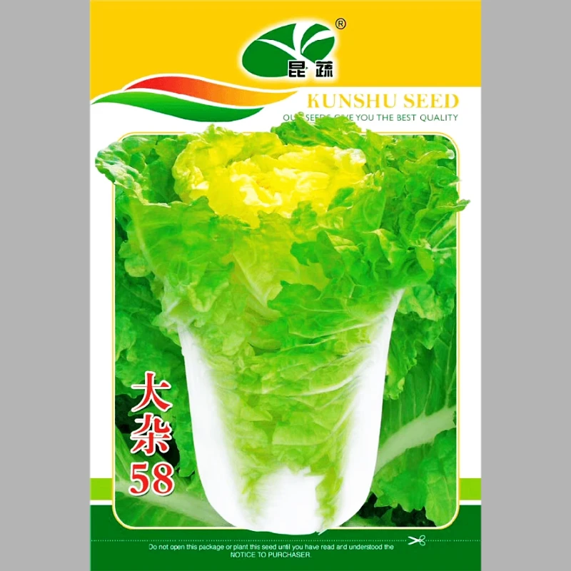 昆蔬大杂58 大白菜种子 早熟白菜种子 60天火锅白菜种子好吃白菜