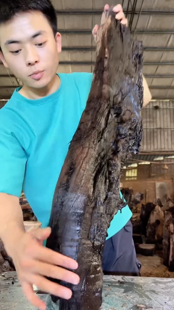 金丝楠金丝楠小叶桢楠13