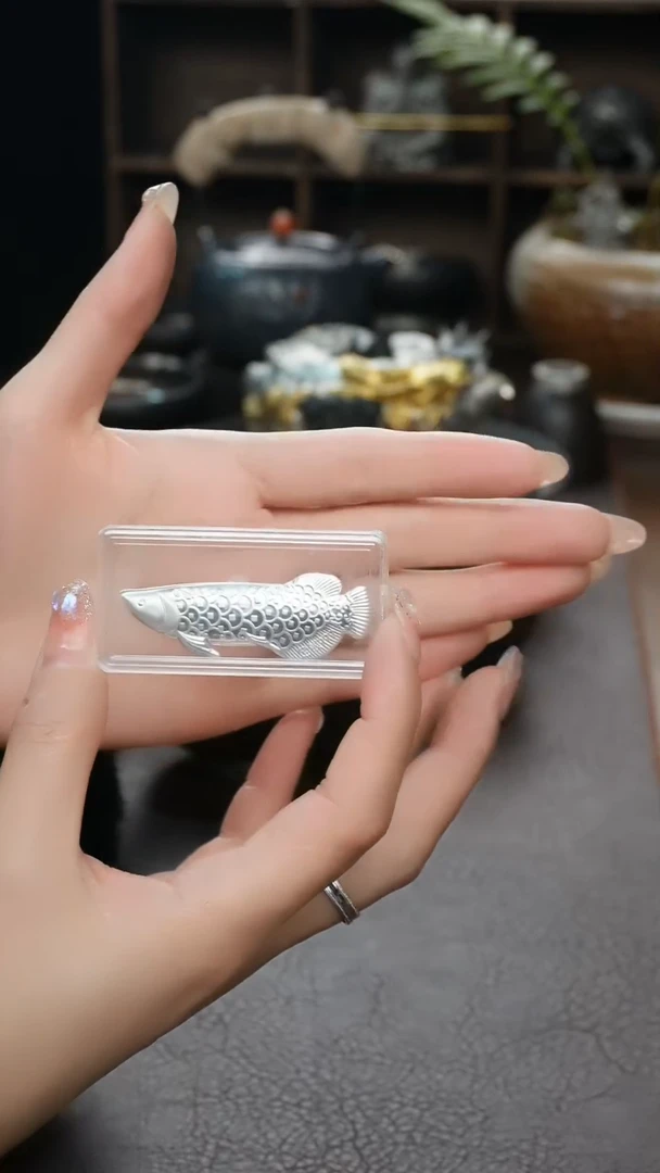 【闪购商品】银龙鱼煮水银片茶周边