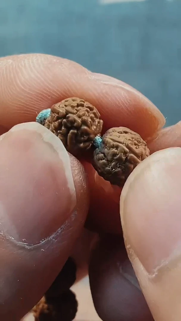 金刚菩提吊坠690原桩葛地利一代龙尺寸5-8+万毛刷