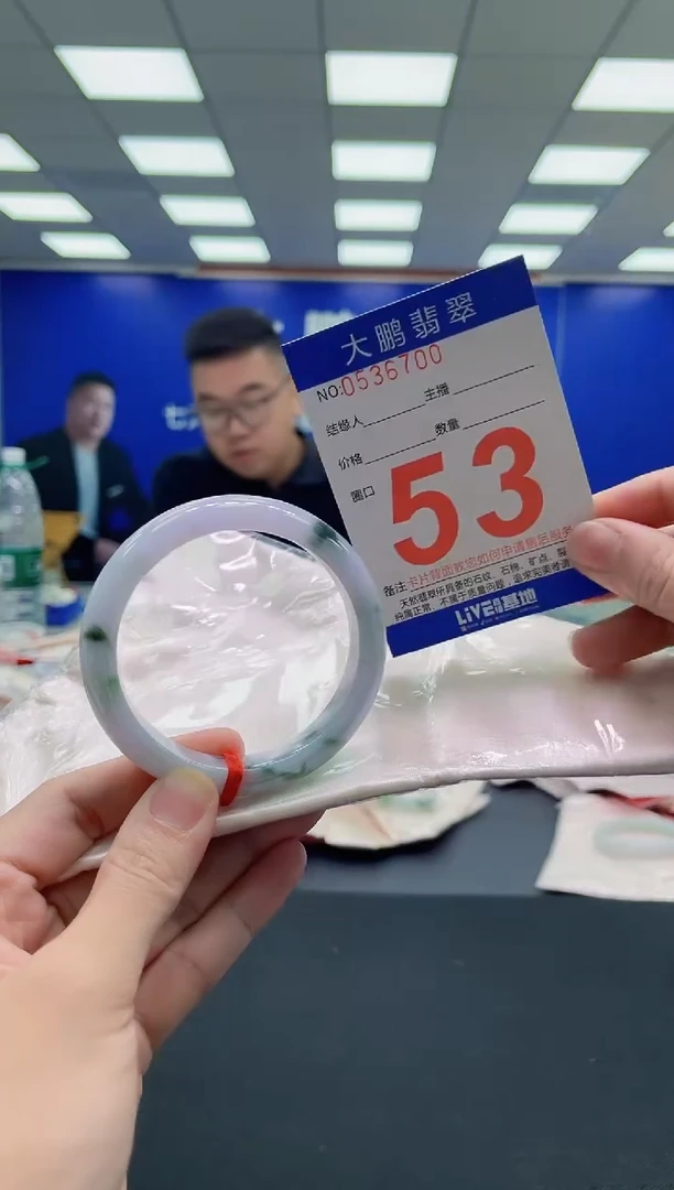 未镶嵌手镯翡翠AAAAAAAAA