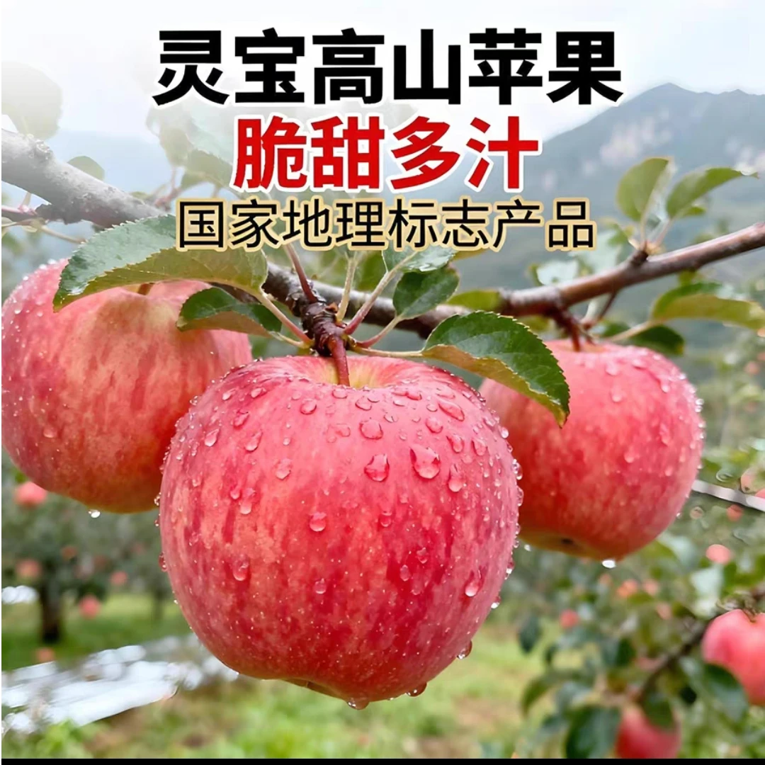 河南灵宝寺河山高山苹果新鲜应季脆甜多汁皮薄肉脆口感好坏果包赔