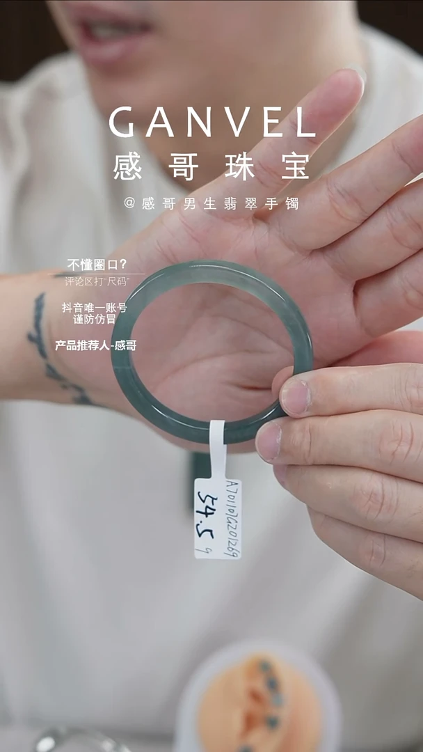未镶嵌手镯翡翠54.59