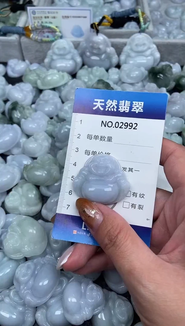 颈饰未镶嵌翡翠纯天然A货翡翠2992