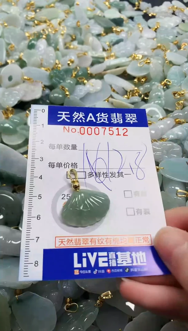 颈饰未镶嵌翡翠纯天然A货翡翠