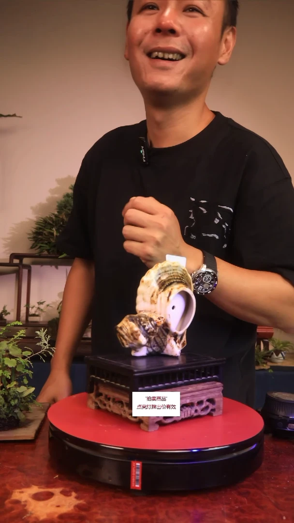 无花朵别****?C62草本植物