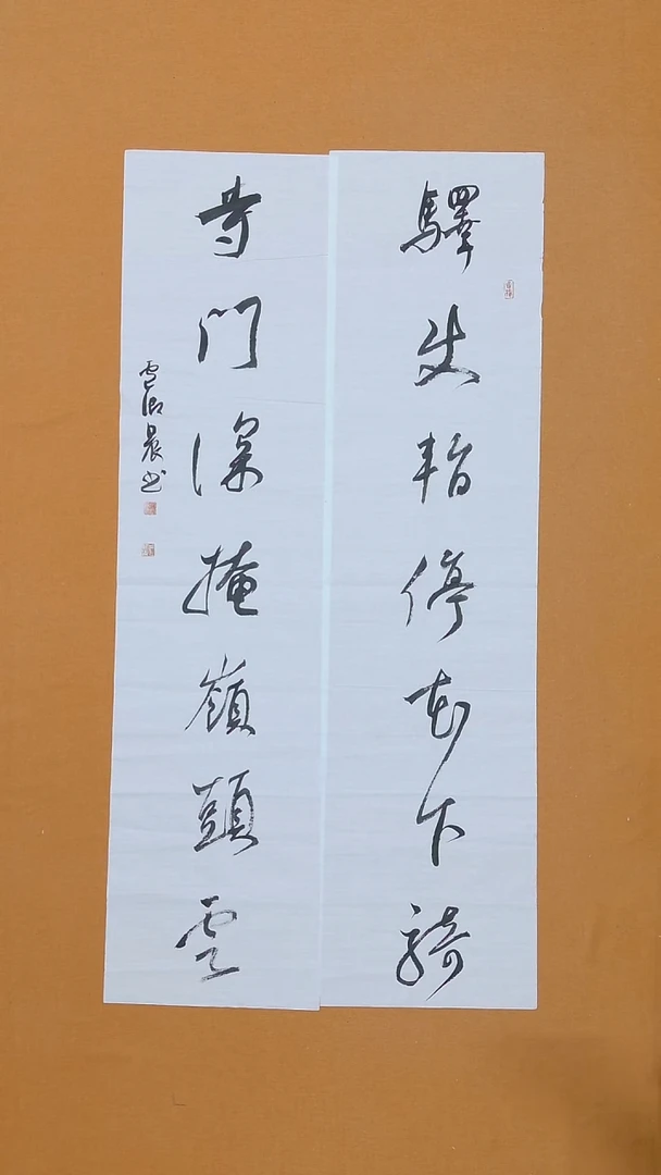 书法卢御晨 湖北 书法硕S 第二届大学生展 68*138