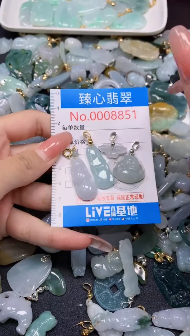 翡翠未镶嵌颈饰8851