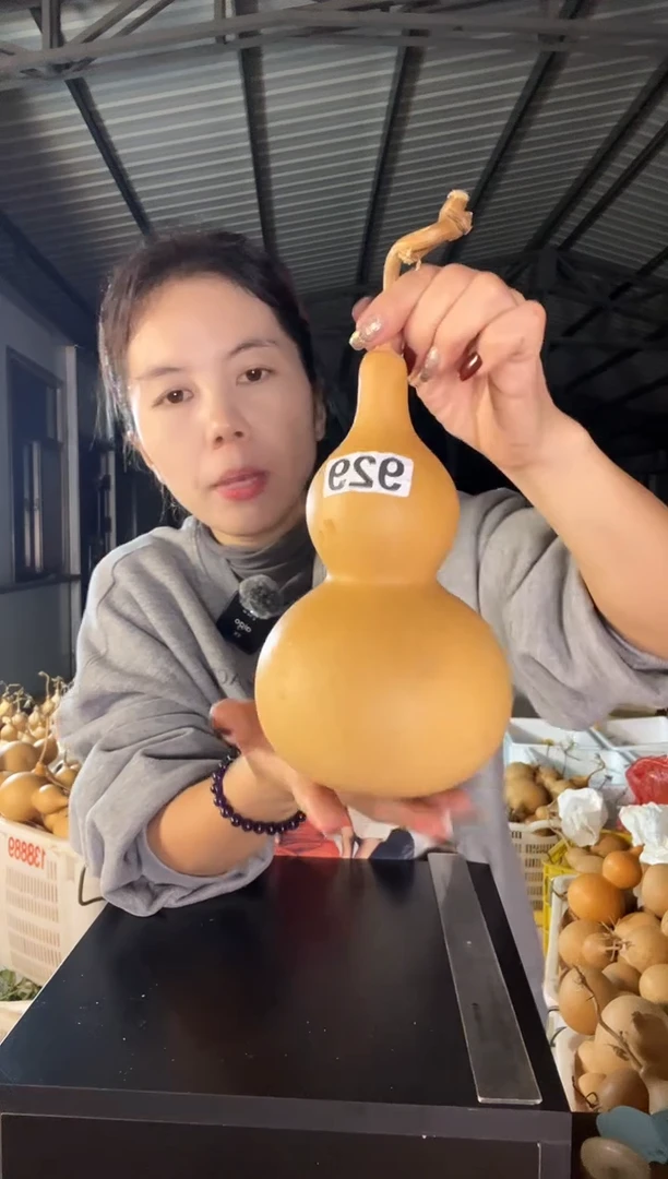 西****风929天然葫芦摆件 一物一拍龙头不保售后