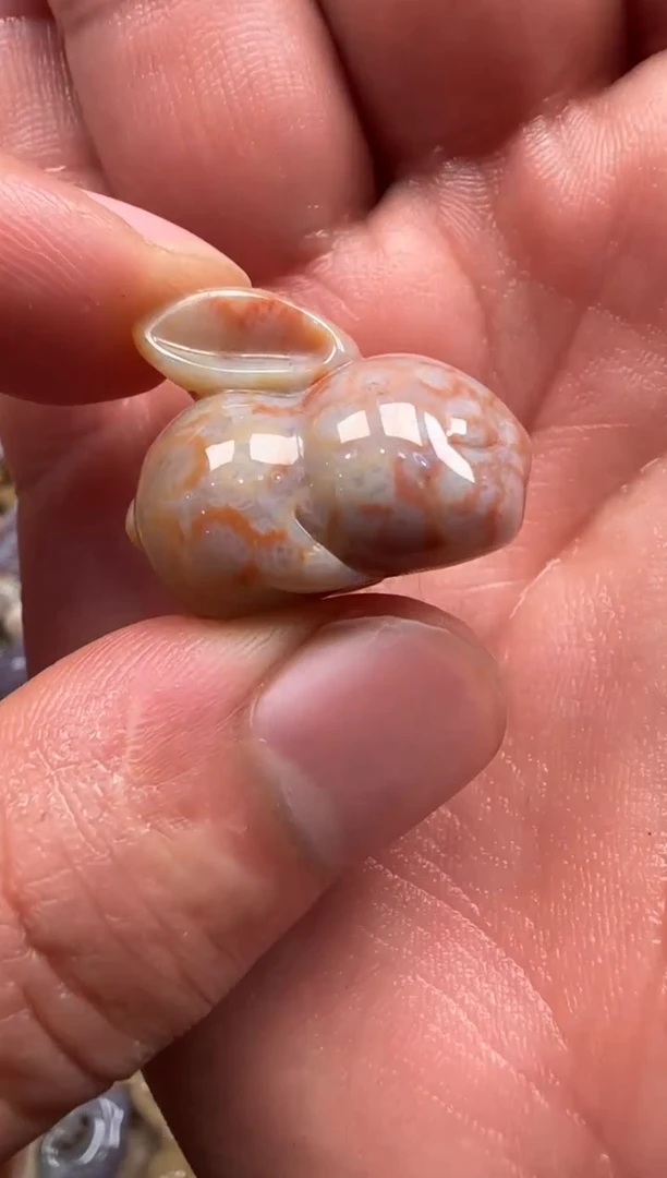 【闪购商品】硅化珊瑚（珊瑚玉）颈饰未镶嵌078