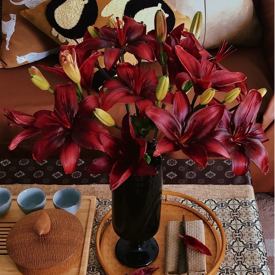 亚百合【黑宝石3支】全鲜花次日达批发直播品质鲜花 全场任意满两单顺丰包邮.