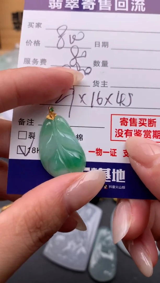 翡翠18K金镶嵌颈饰10135242