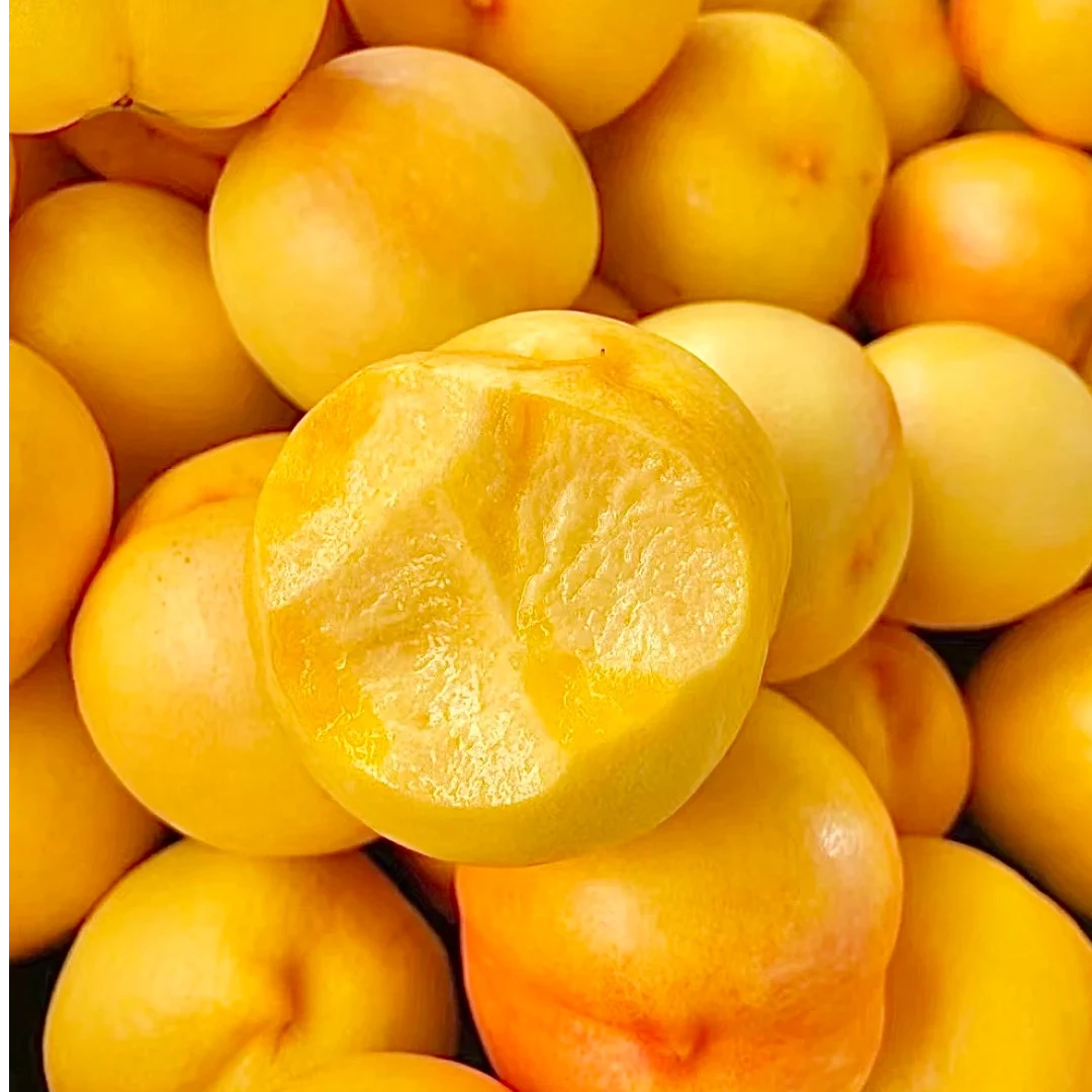 沂蒙山龙汪崖蜜桃黄油桃软硬两吃脆甜原产地果园现摘直发