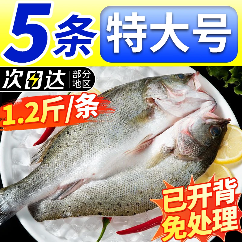 开背鲈鱼大号三去海鲈鱼真空保鲜活鱼新鲜速冻冷冻清蒸
