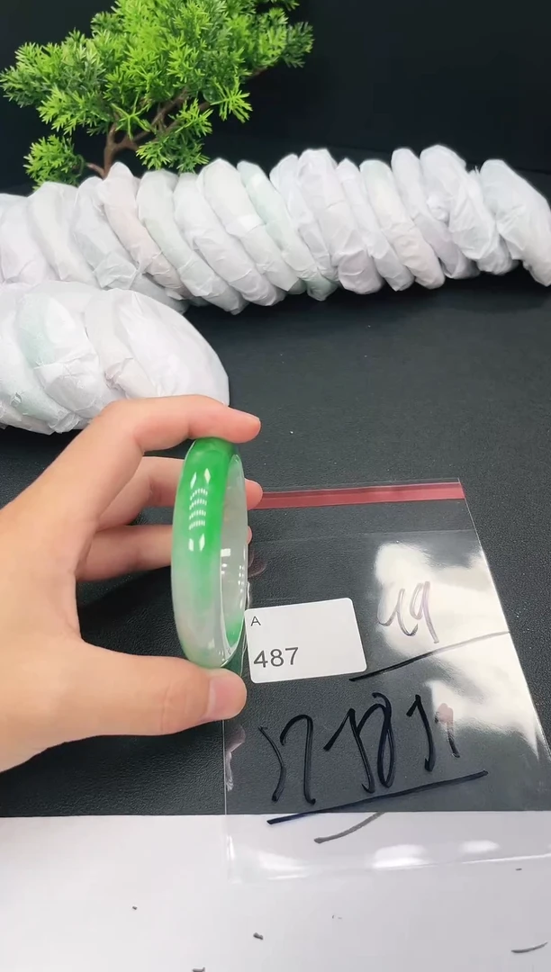 未镶嵌手镯翡翠487