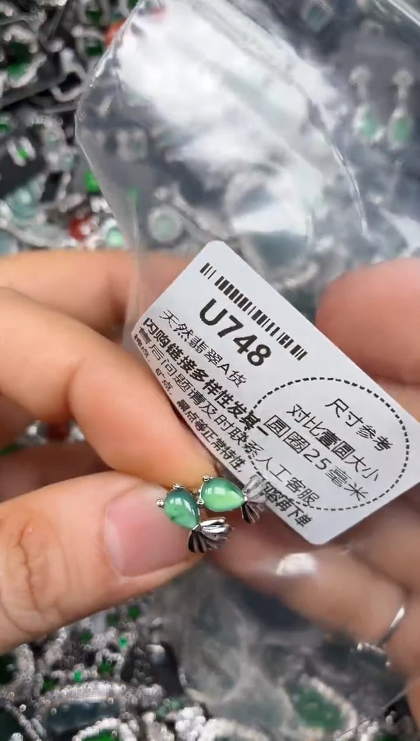 颈饰未镶嵌翡翠U748耳扣