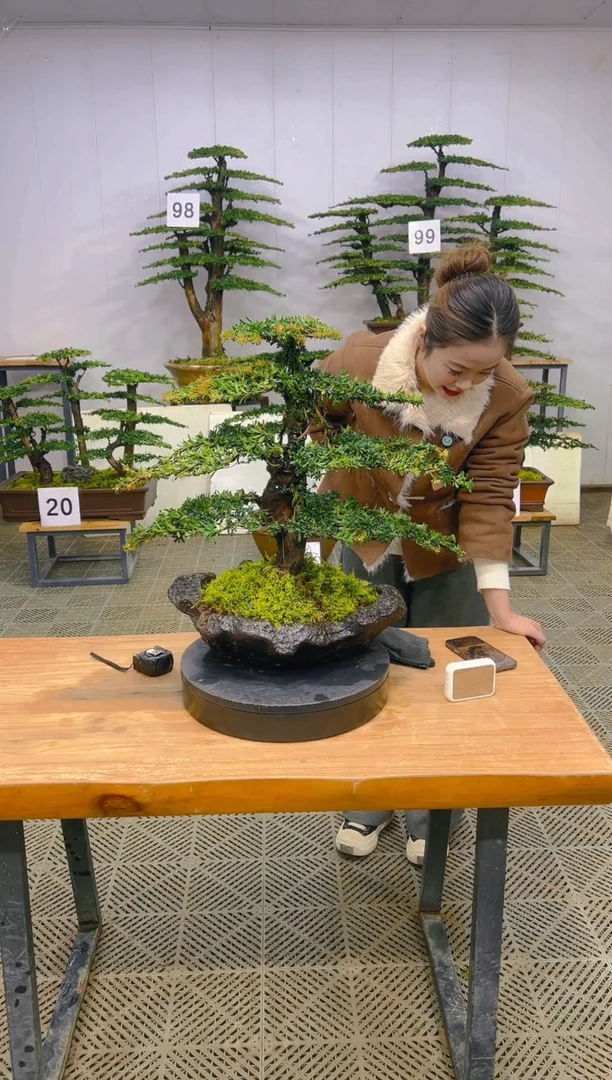 无花朵一物一拍一物一拍