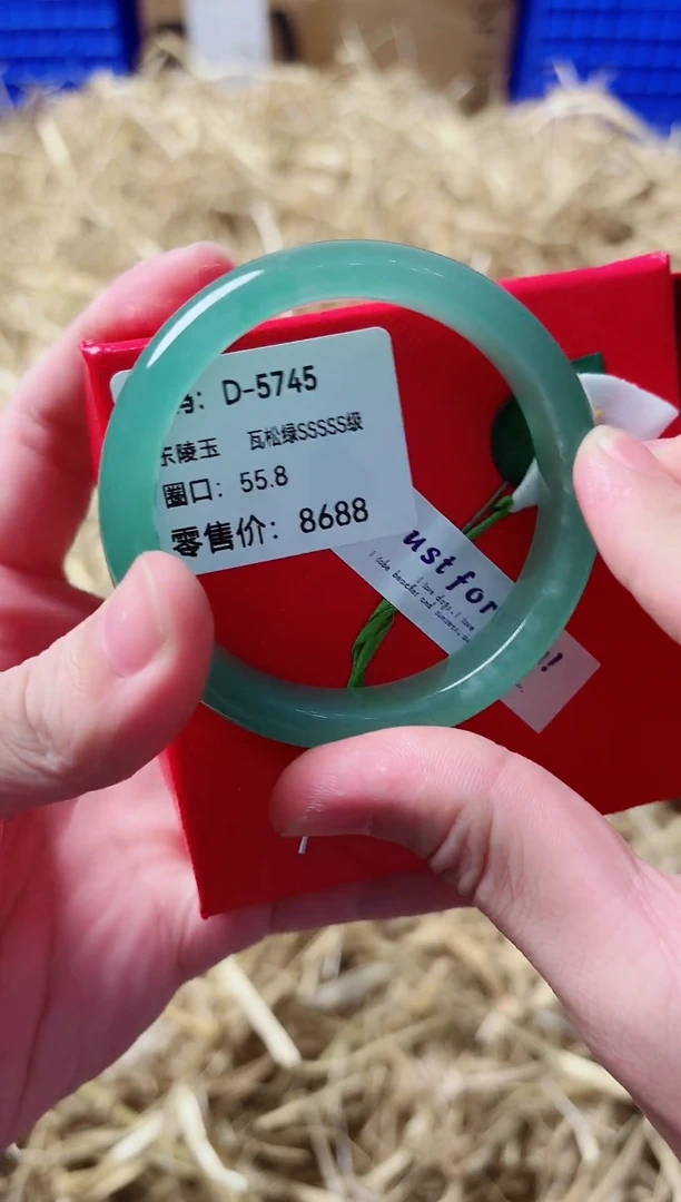 未镶嵌手镯石英质玉D-5745