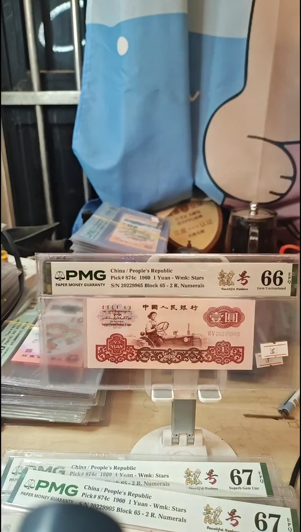 宝石红+白星王+幸运树66分如意号！