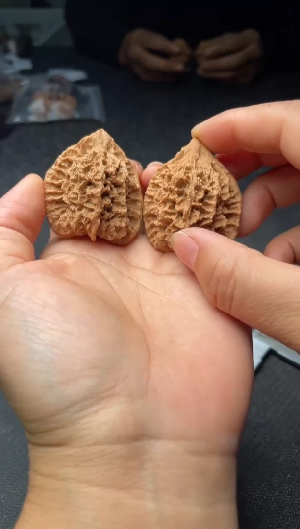 把件文玩核桃W173  龙脊背  38