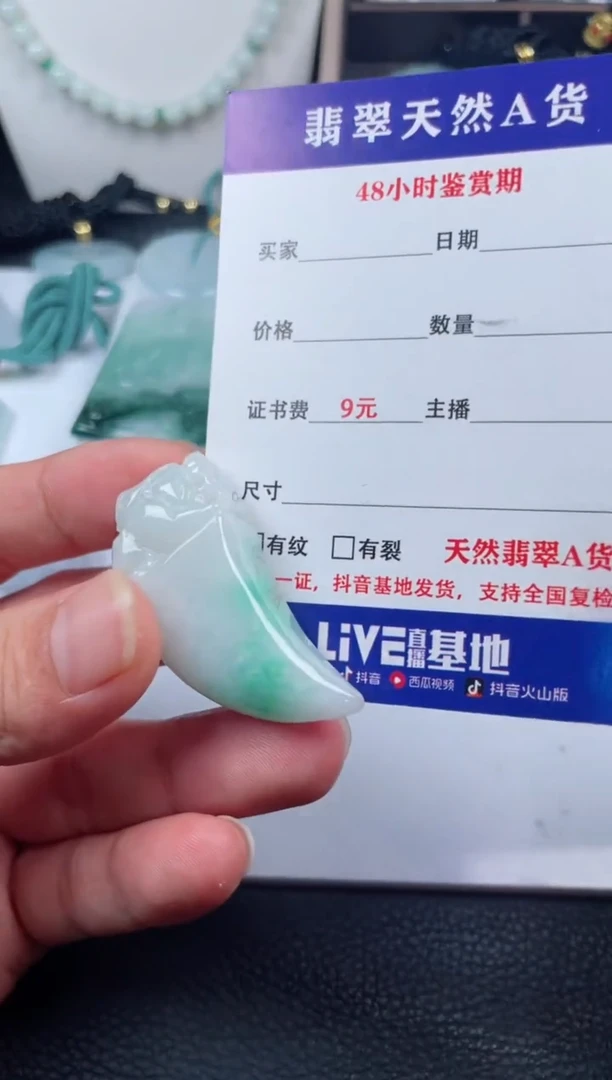 翡翠未镶嵌颈饰