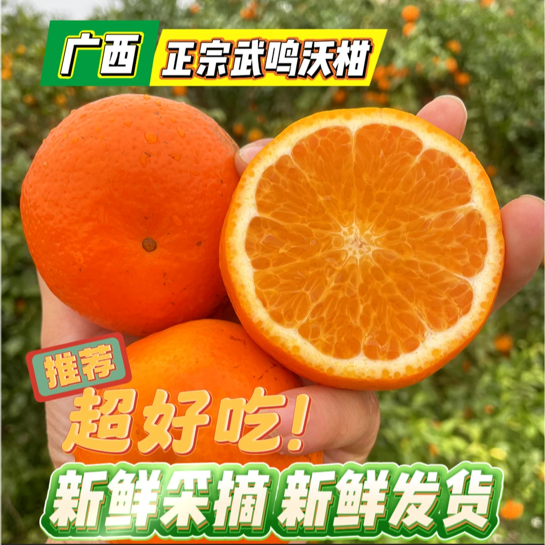 正宗广西武鸣沃柑新鲜现摘微花现发水果应季产地直发C