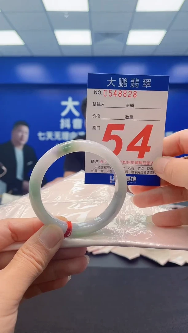 未镶嵌手镯翡翠AAAAAAAAA