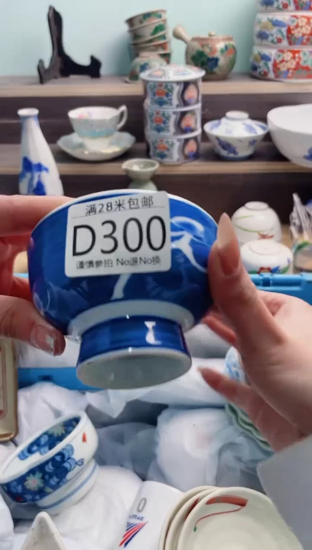 【闪购商品】D300***********