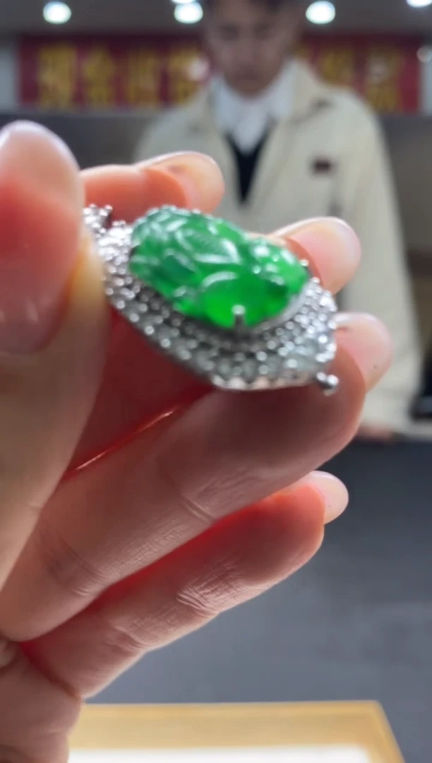 【闪购商品】翡翠颈饰未镶嵌********159